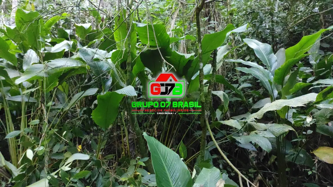 Foto 9 de Fazenda / Haras à venda, 96m2 em Área Rural de Caçapava, Cacapava - SP