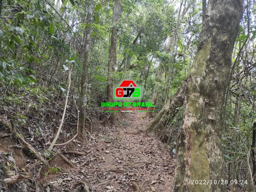 Foto 20 de Chácara à venda, 16000m2 em Jambeiro - SP