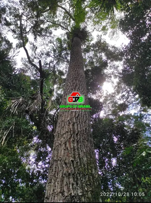 Foto 25 de Chácara à venda, 16000m2 em Jambeiro - SP