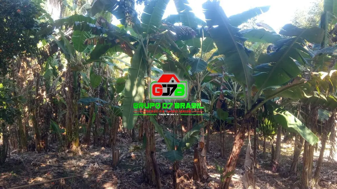 Foto 3 de Fazenda / Haras à venda em Área Rural de Caçapava, Cacapava - SP