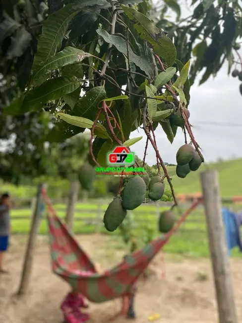 Foto 8 de Sítio / Rancho à venda, 20m2 em Centro, Cunha - SP