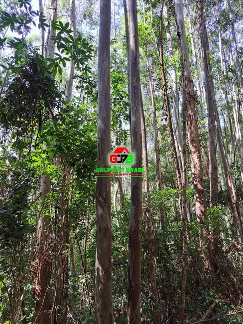 Foto 9 de Chácara à venda, 123m2 em Centro, Atibaia - SP