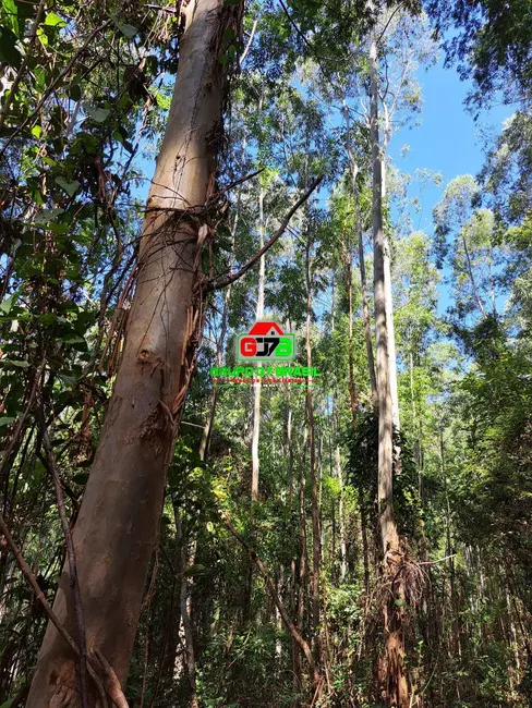 Foto 1 de Chácara à venda, 123m2 em Centro, Atibaia - SP