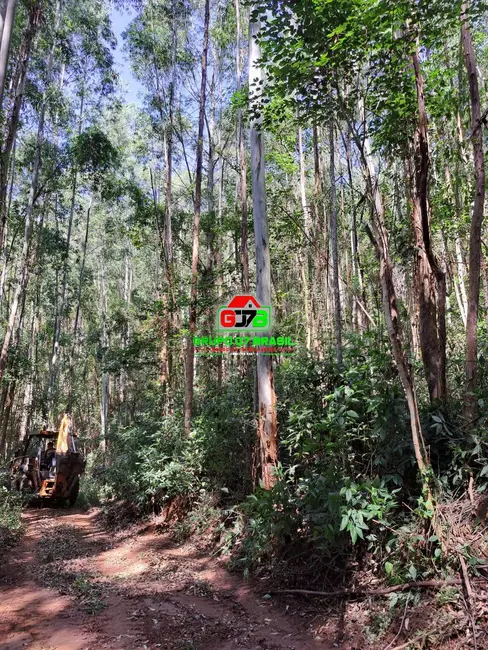 Foto 8 de Chácara à venda, 123m2 em Centro, Atibaia - SP