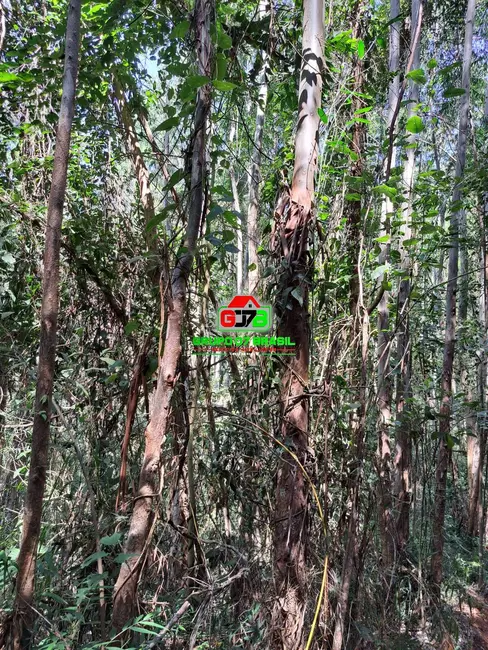 Foto 7 de Chácara à venda, 123m2 em Centro, Atibaia - SP