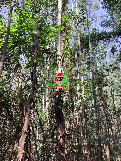 Foto 3 de Chácara à venda, 123m2 em Centro, Atibaia - SP