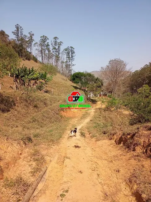 Foto 5 de Fazenda / Haras à venda, 337m2 em Centro, Areias - SP