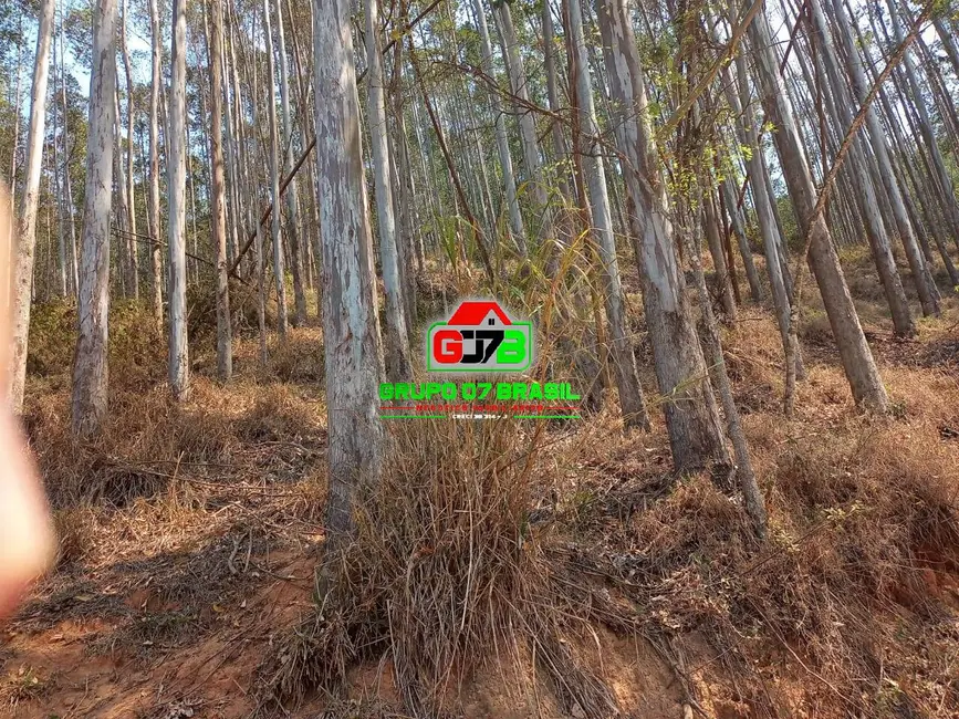 Foto 1 de Fazenda / Haras à venda, 337m2 em Centro, Areias - SP