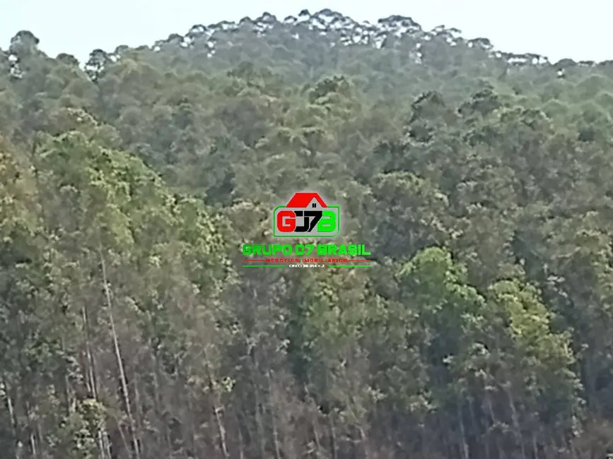 Foto 4 de Fazenda / Haras à venda, 337m2 em Centro, Areias - SP