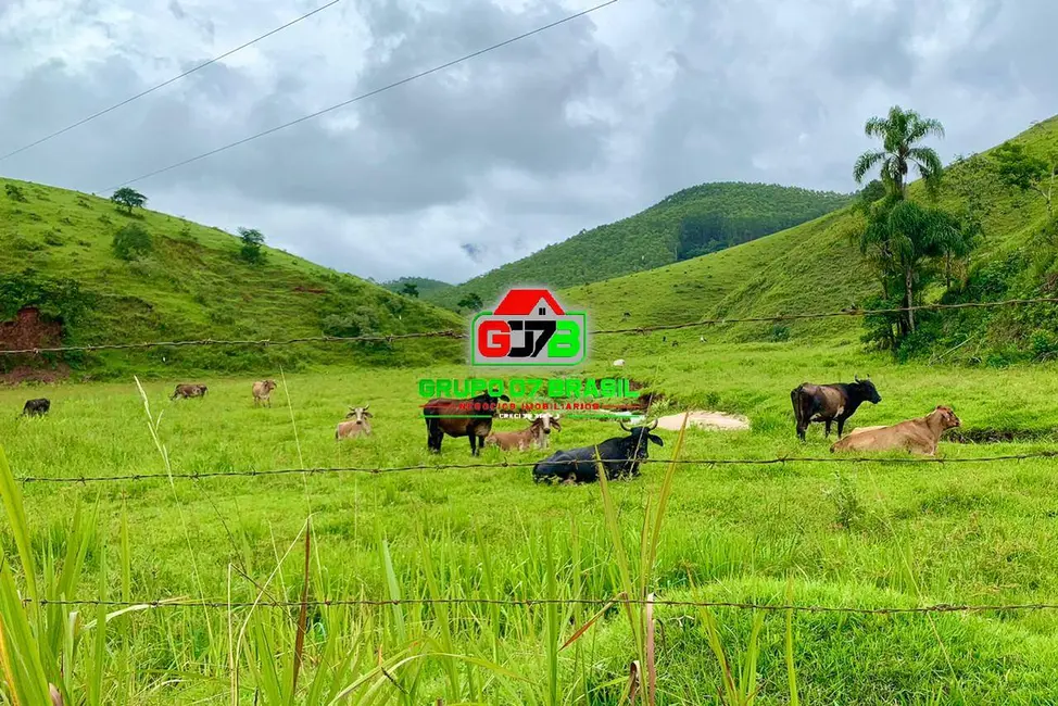 Foto 2 de Fazenda / Haras à venda, 237m2 em Área Rural de Pindamonhangaba, Pindamonhangaba - SP