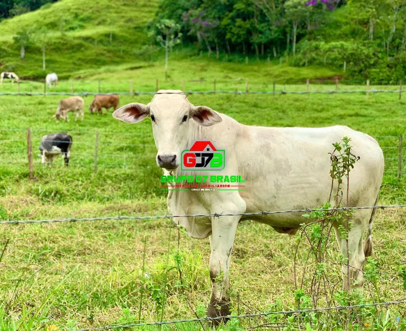 Foto 1 de Fazenda / Haras à venda, 237m2 em Área Rural de Pindamonhangaba, Pindamonhangaba - SP