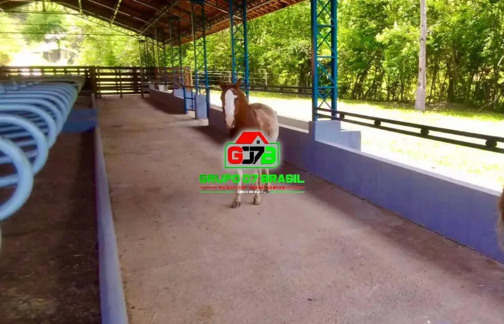 Fazenda / Haras à venda, 237m2 em Área Rural de Pindamonhangaba, Pindamonhangaba - SP - imagem 3 Foto 3 de Fazenda / Haras à venda, 237m2 em Área Rural de Pindamonhangaba, Pindamonhangaba - SP