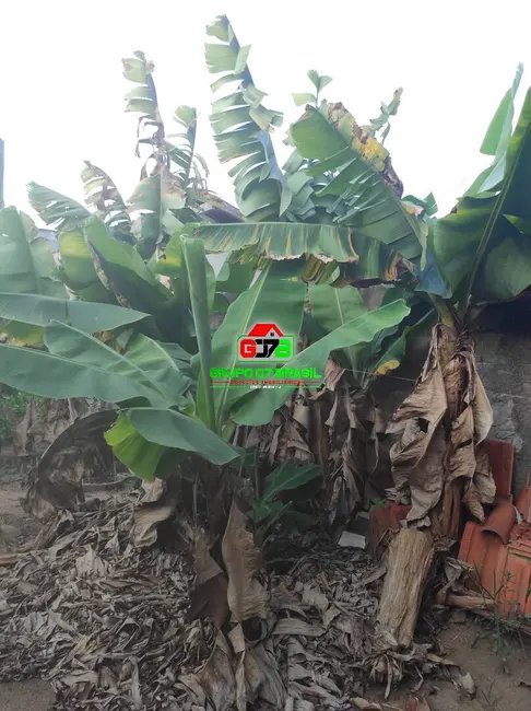 Chácara à venda, 500m2 em Sao Jose Dos Campos - SP - imagem 8 Foto 8 de Chácara à venda, 500m2 em Sao Jose Dos Campos - SP