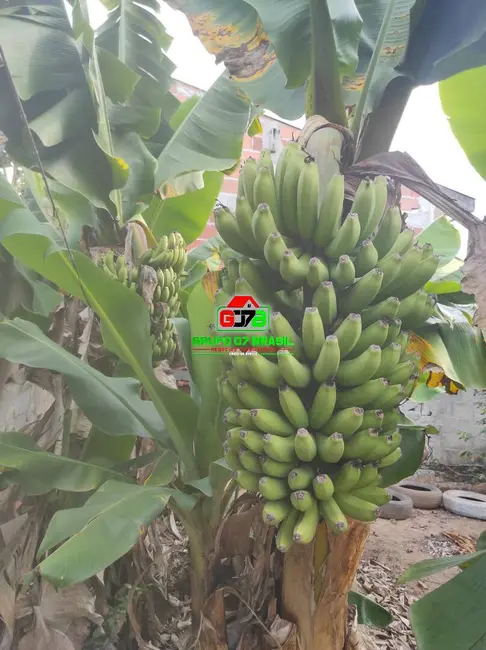 Chácara à venda, 500m2 em Sao Jose Dos Campos - SP - imagem 9 Foto 9 de Chácara à venda, 500m2 em Sao Jose Dos Campos - SP