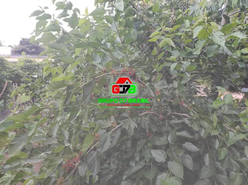 Chácara à venda, 500m2 em Sao Jose Dos Campos - SP - imagem 5 Foto 5 de Chácara à venda, 500m2 em Sao Jose Dos Campos - SP