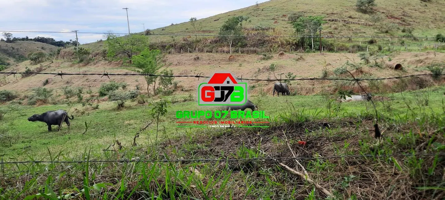 Fazenda / Haras à venda, 605m2 em Área Rural de Cruzeiro, Cruzeiro - SP - imagem 8 Foto 8 de Fazenda / Haras à venda, 605m2 em Área Rural de Cruzeiro, Cruzeiro - SP