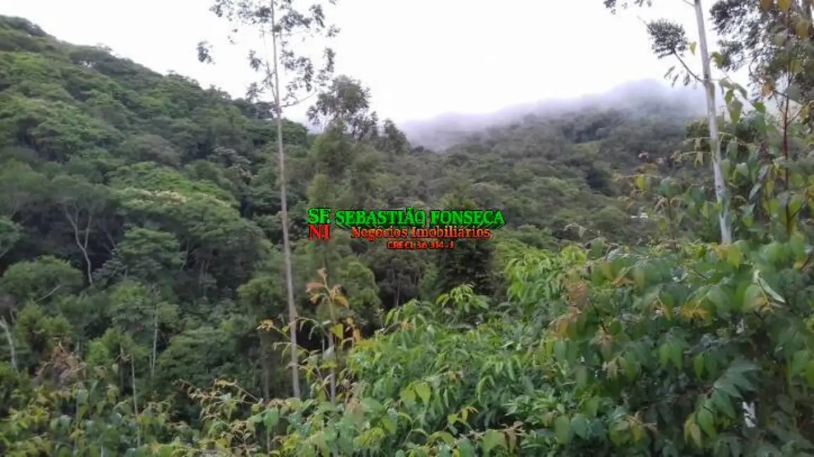 Foto 9 de Sítio / Rancho à venda, 30000m2 em Centro, Monteiro Lobato - SP