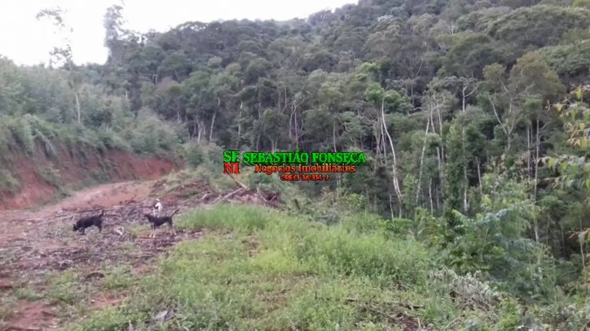 Foto 1 de Sítio / Rancho à venda, 30000m2 em Centro, Monteiro Lobato - SP