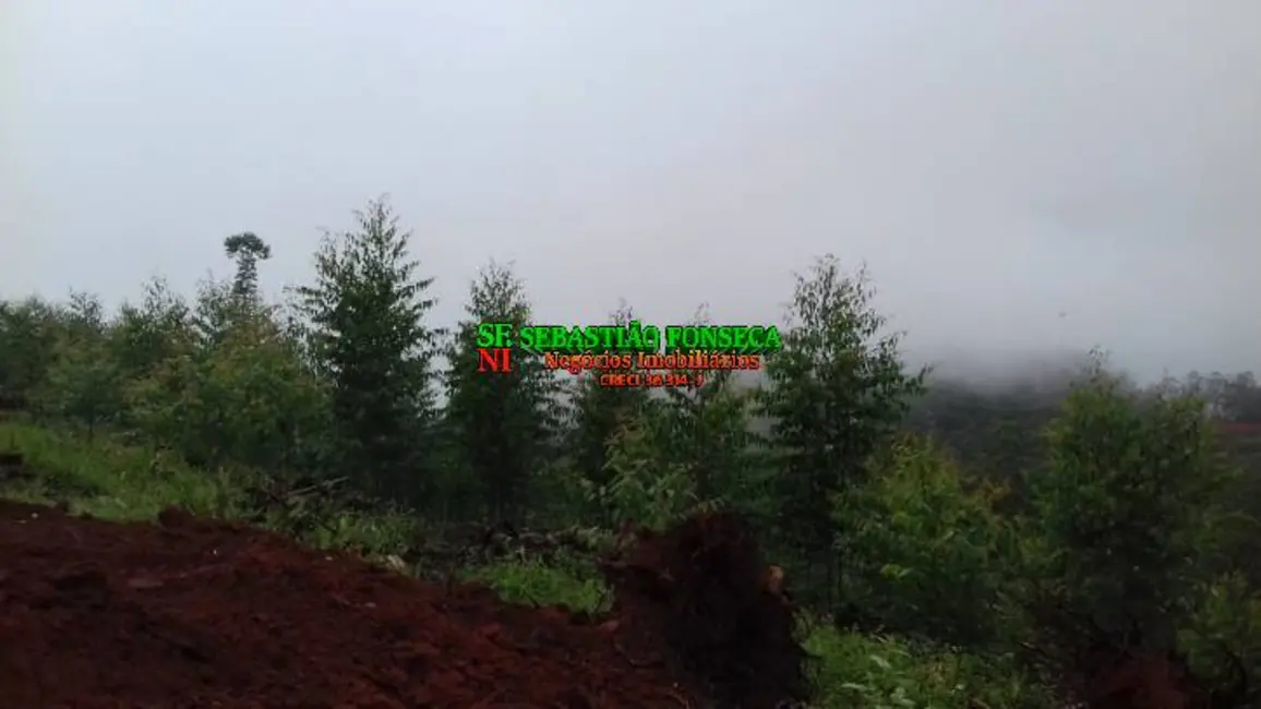 Foto 5 de Sítio / Rancho à venda, 30000m2 em Centro, Monteiro Lobato - SP