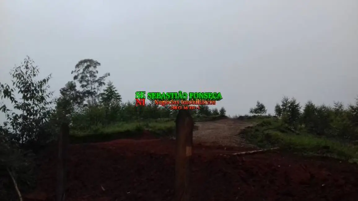 Foto 6 de Sítio / Rancho à venda, 30000m2 em Centro, Monteiro Lobato - SP