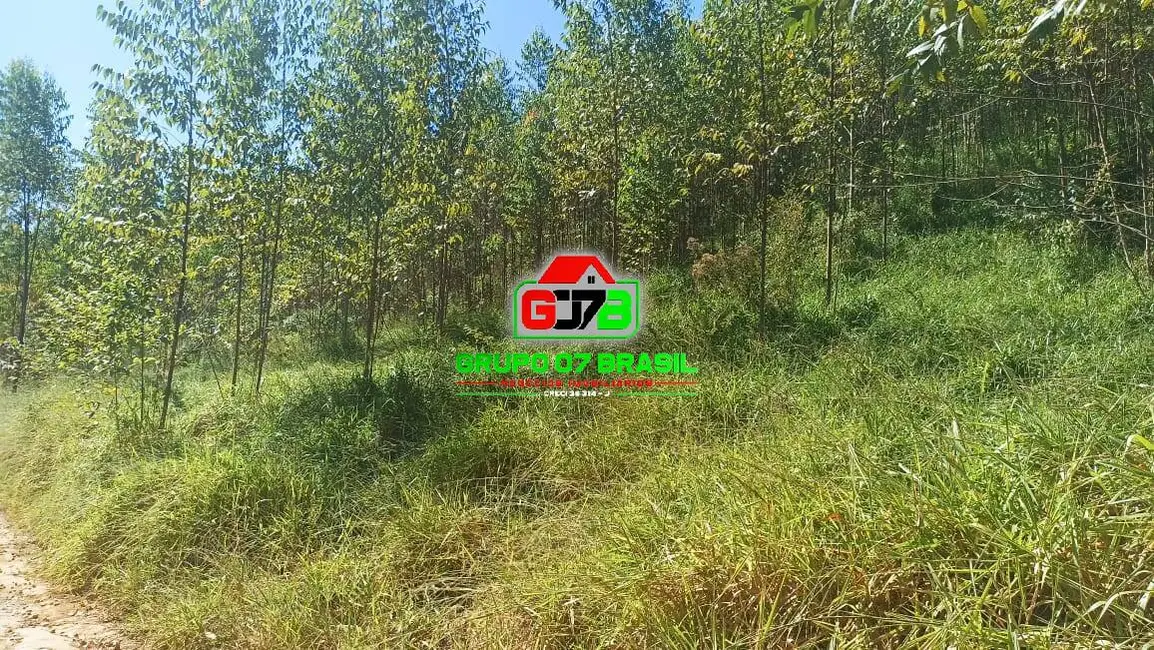 Sítio / Rancho à venda, 10m2 em Paraibuna - SP - imagem 5 Foto 5 de Sítio / Rancho à venda, 10m2 em Paraibuna - SP