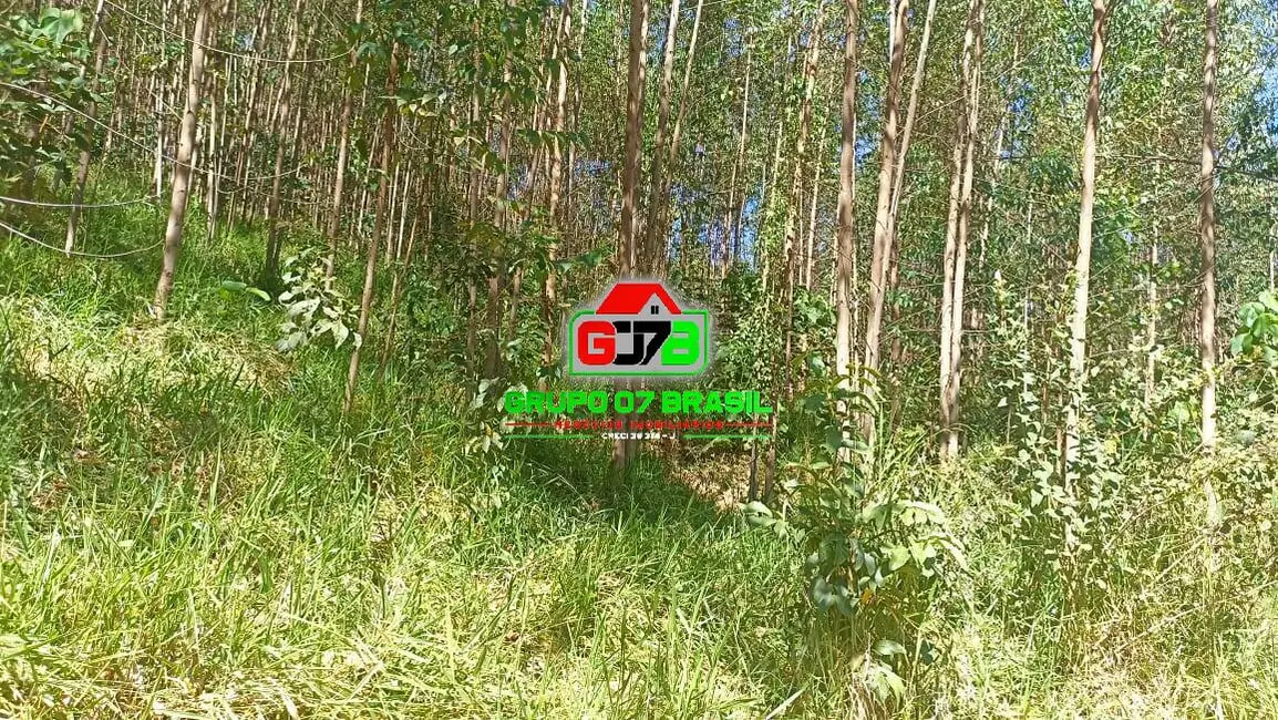 Sítio / Rancho à venda, 10m2 em Paraibuna - SP - imagem 6 Foto 6 de Sítio / Rancho à venda, 10m2 em Paraibuna - SP