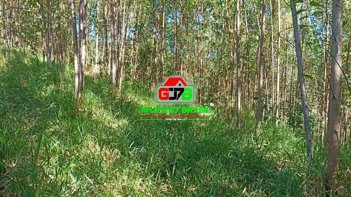 Sítio / Rancho à venda, 10m2 em Paraibuna - SP - imagem 3 Foto 3 de Sítio / Rancho à venda, 10m2 em Paraibuna - SP