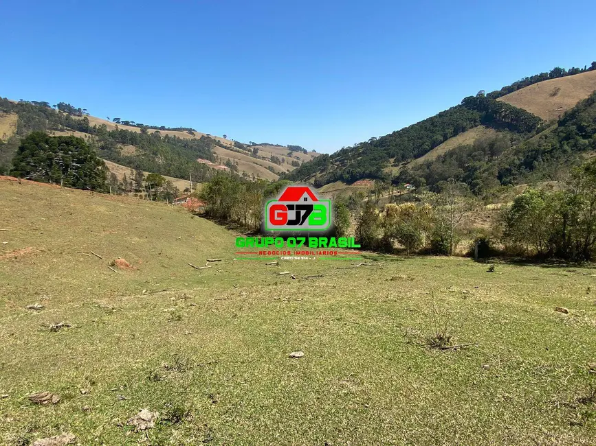 Foto 1 de Chácara à venda, 7745m2 em Centro, Delfim Moreira - MG
