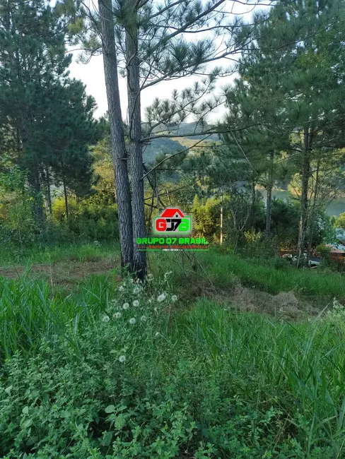 Chácara com 2 quartos à venda, 5000m2 em Jambeiro - SP - imagem 9 Foto 9 de Chácara com 2 quartos à venda, 5000m2 em Jambeiro - SP