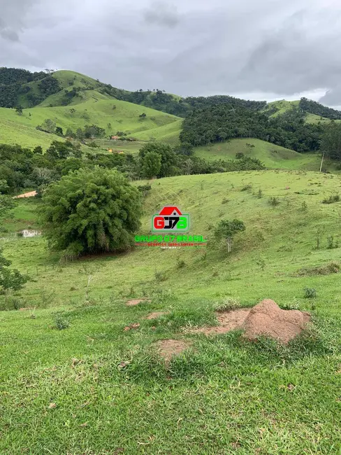 Foto 22 de Sítio / Rancho à venda em Centro, Paraibuna - SP