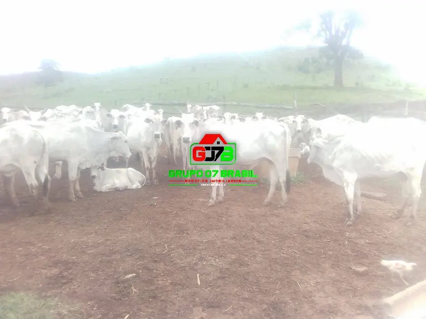Foto 1 de Fazenda / Haras à venda, 13m2 em Centro, Paraibuna - SP
