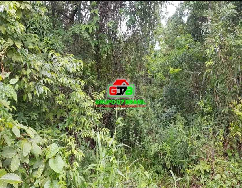 Foto 4 de Lote de Condomínio à venda, 3363m2 em Chácaras Condomínio Recanto Pássaros II, Jacarei - SP