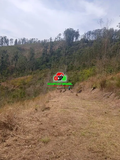 Foto 6 de Chácara à venda, 20000m2 em Monteiro Lobato - SP