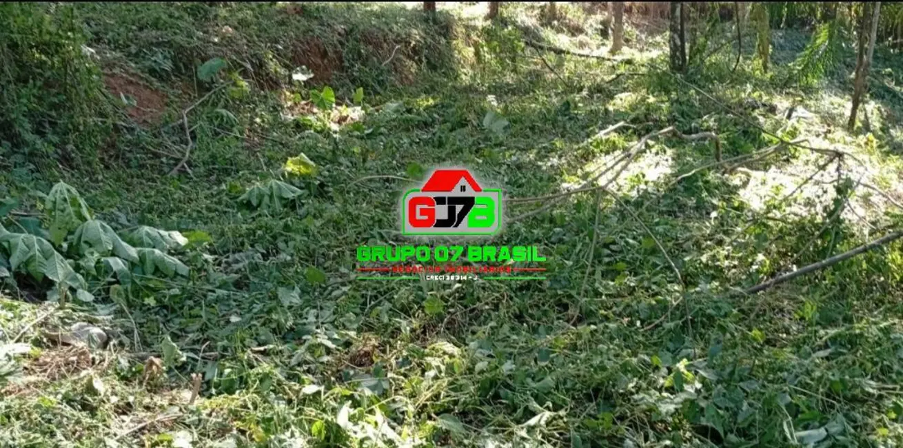 Foto 4 de Lote de Condomínio à venda, 2228m2 em Chácaras Condomínio Recanto Pássaros II, Jacarei - SP