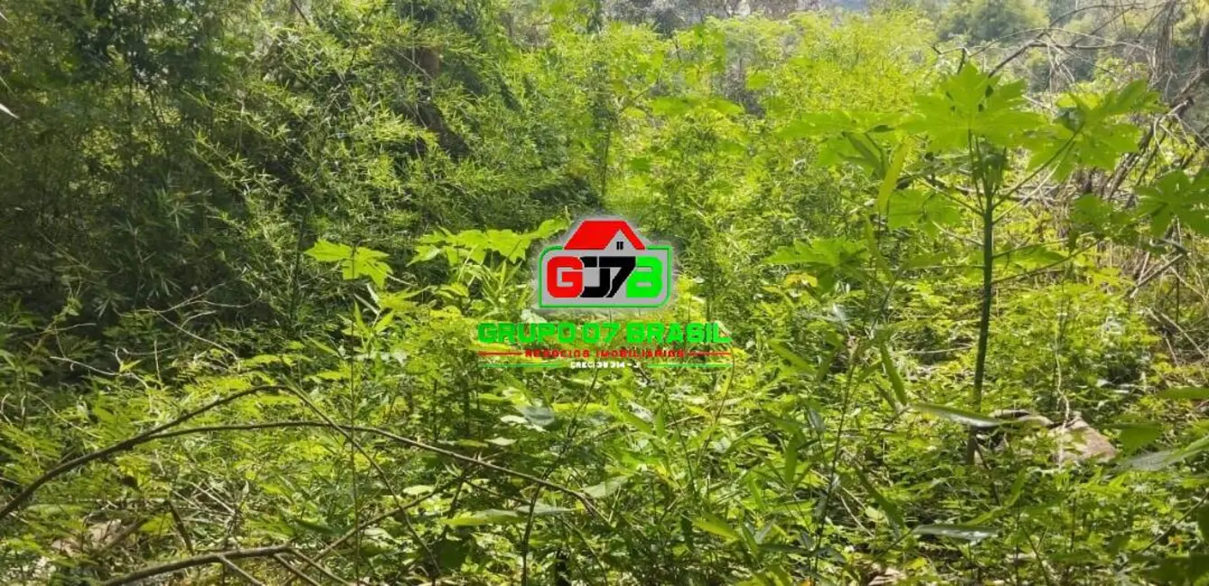 Foto 5 de Lote de Condomínio à venda, 6996m2 em Chácaras Condomínio Recanto Pássaros II, Jacarei - SP