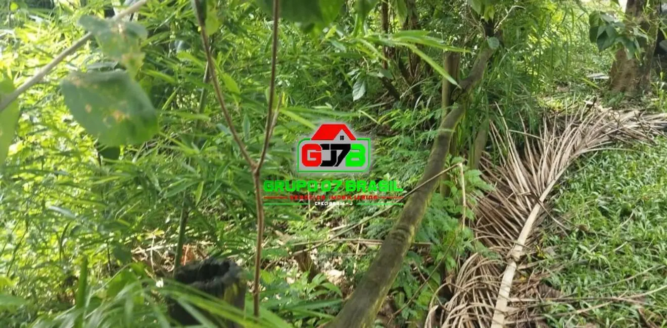 Foto 4 de Lote de Condomínio à venda, 6996m2 em Chácaras Condomínio Recanto Pássaros II, Jacarei - SP