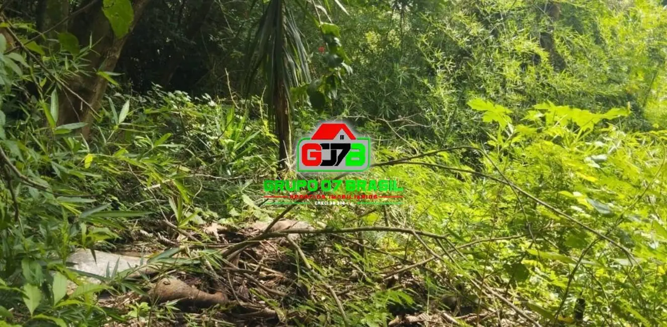 Foto 3 de Lote de Condomínio à venda, 6996m2 em Chácaras Condomínio Recanto Pássaros II, Jacarei - SP