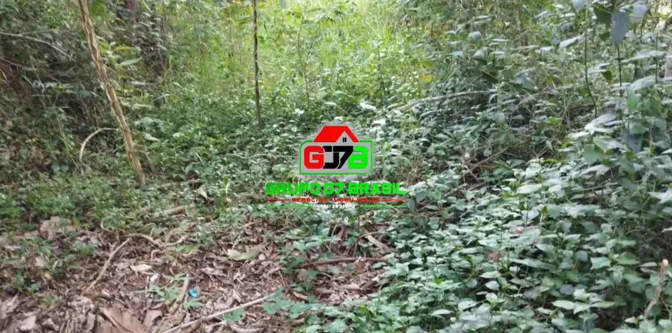 Foto 6 de Lote de Condomínio à venda, 5130m2 em Chácaras Condomínio Recanto Pássaros II, Jacarei - SP