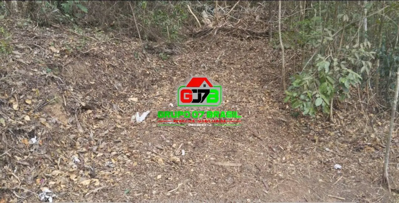 Foto 8 de Lote de Condomínio à venda, 4767m2 em Chácaras Condomínio Recanto Pássaros II, Jacarei - SP