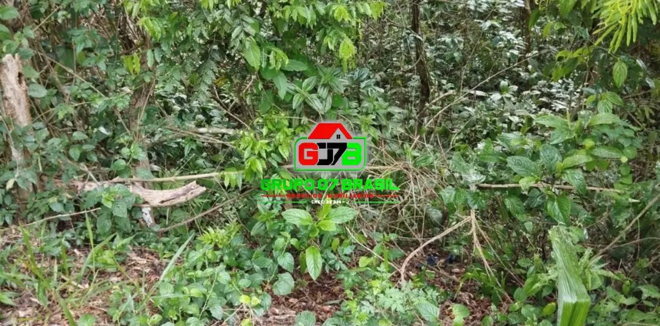 Foto 7 de Lote de Condomínio à venda, 3917m2 em Chácaras Condomínio Recanto Pássaros II, Jacarei - SP