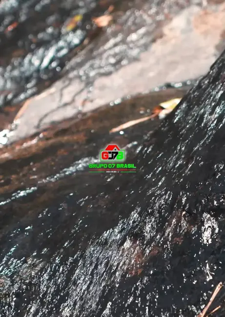 Foto 17 de Chácara à venda em Marmelopolis - MG