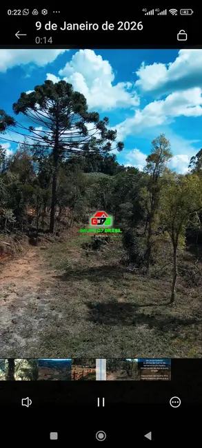 Foto 7 de Sítio / Rancho à venda, 12100m2 em Marmelopolis - MG