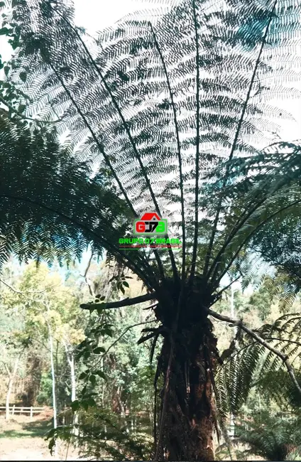 Foto 1 de Sítio / Rancho à venda, 12100m2 em Marmelopolis - MG