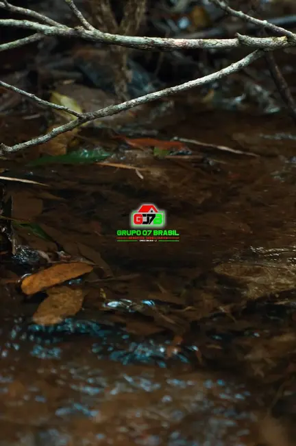 Foto 3 de Sítio / Rancho à venda, 12100m2 em Marmelopolis - MG