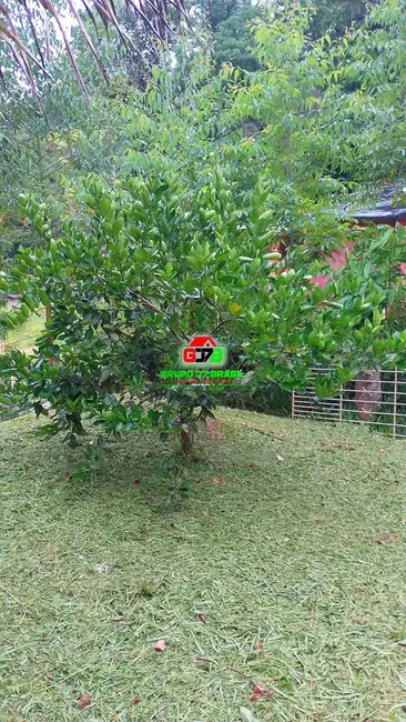 Foto 5 de Chácara com 3 quartos à venda, 5300m2 em Jambeiro - SP