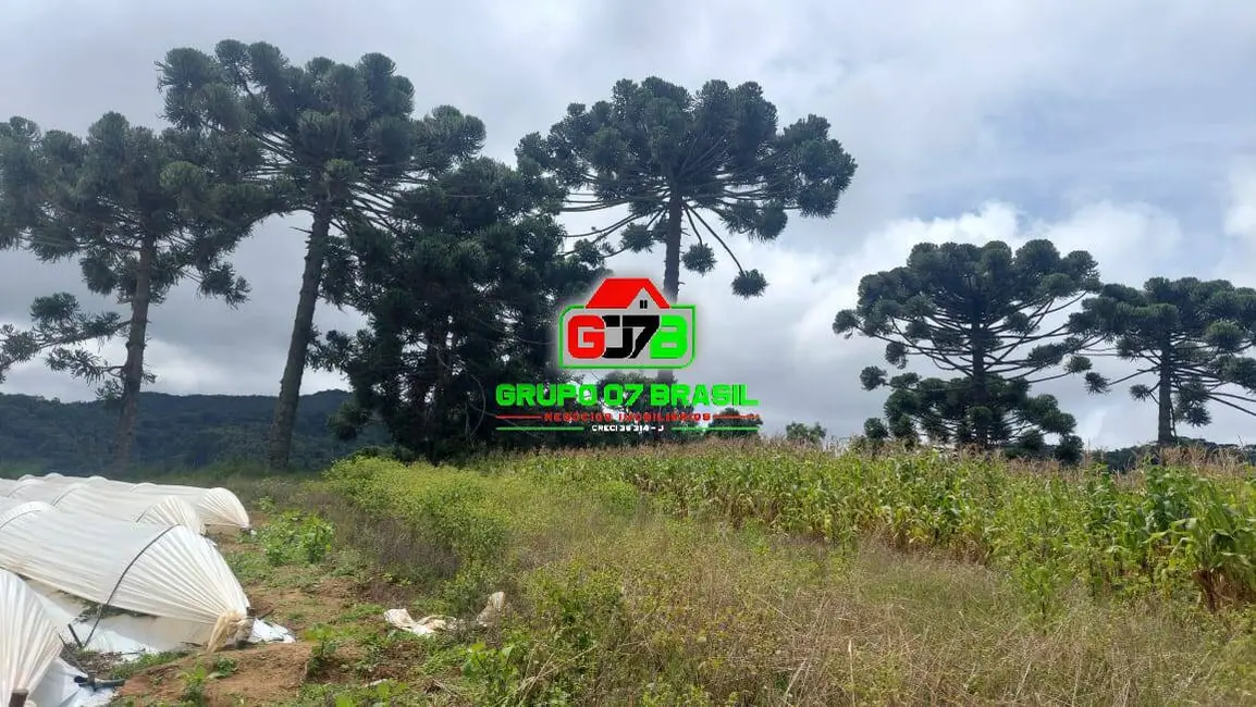 Sítio / Rancho à venda em Marmelopolis - MG - imagem 5 Foto 5 de Sítio / Rancho à venda em Marmelopolis - MG