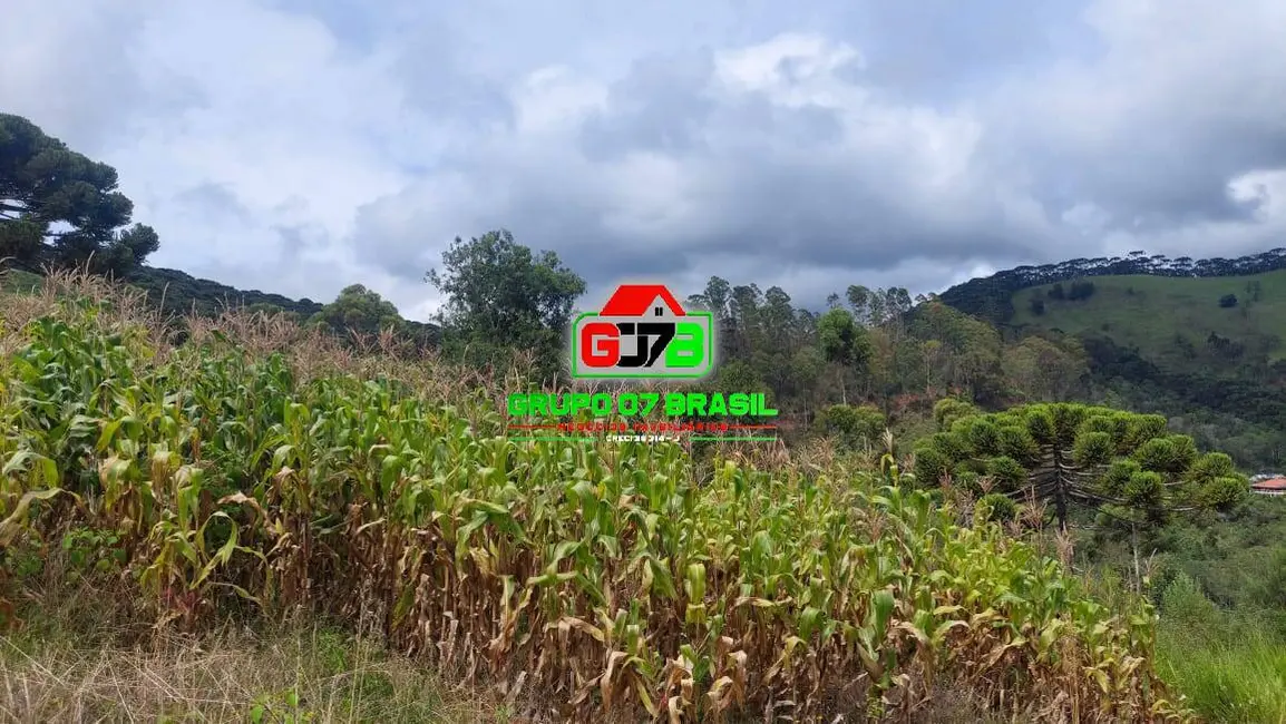 Sítio / Rancho à venda em Marmelopolis - MG - imagem 9 Foto 9 de Sítio / Rancho à venda em Marmelopolis - MG