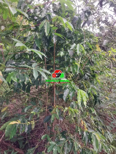 Foto 7 de Chácara com 2 quartos à venda, 1000m2 em Jambeiro - SP