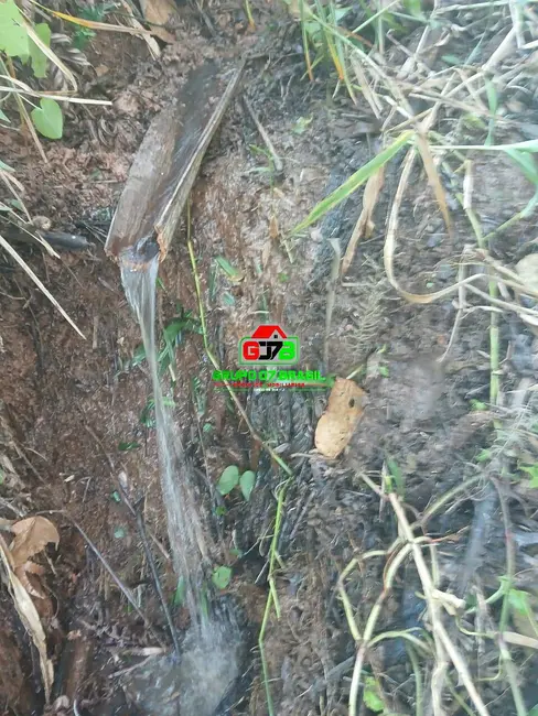 Foto 3 de Sítio / Rancho à venda em Sao Jose Dos Campos - SP
