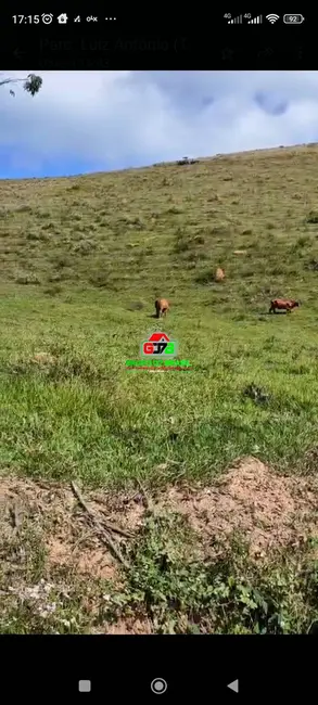 Foto 5 de Fazenda / Haras à venda, 193m2 em Guaratingueta - SP